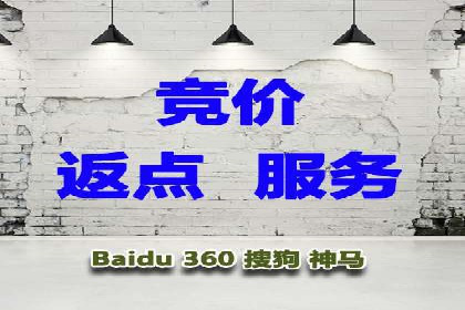 竞价推广成功案例解析